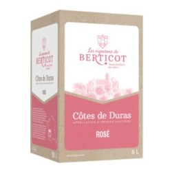 Les Vignerons De Berticot Cotes De Duras - Bib 5 Litres | french wine